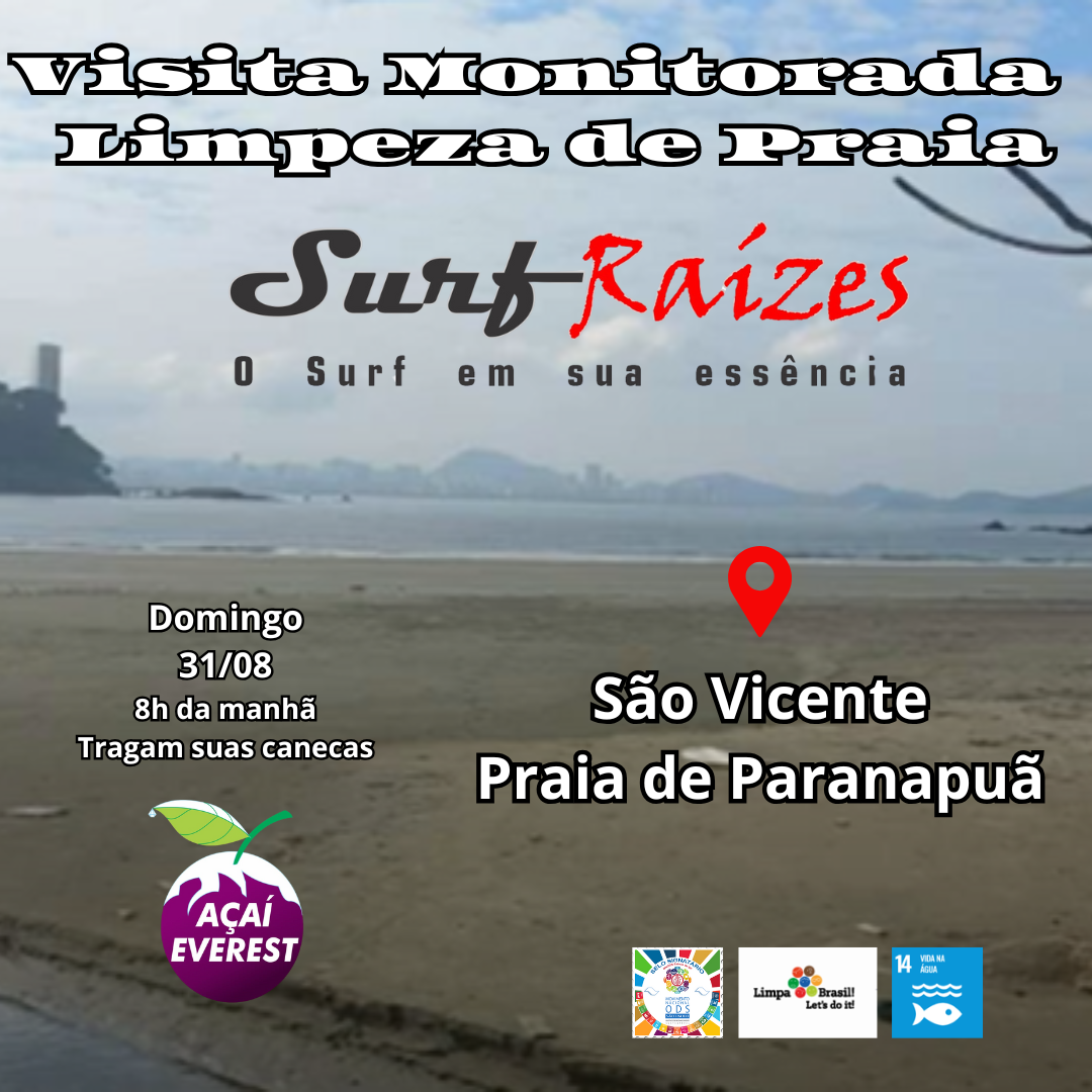 Limpeza da Praia de Paranapuã - São Vicente