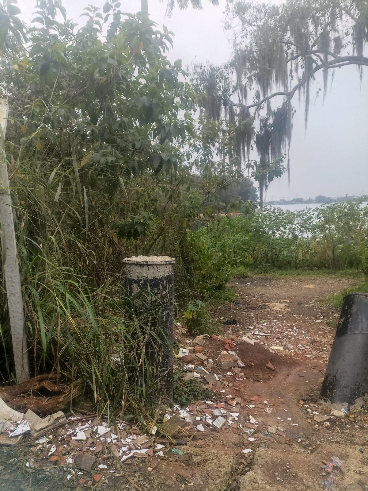 Limpeza na represa Guarapiranga 