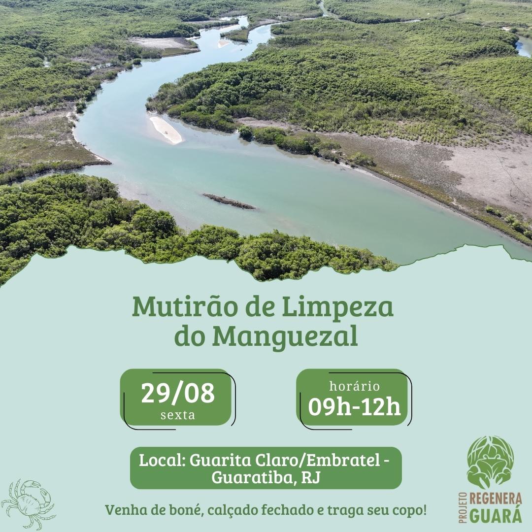 Mutirão de Limpeza do Manguezal - Projeto Regenera Guará - Guaratiba/RJ