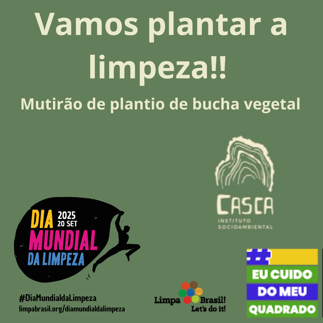 Plante a limpeza Plante a limpeza