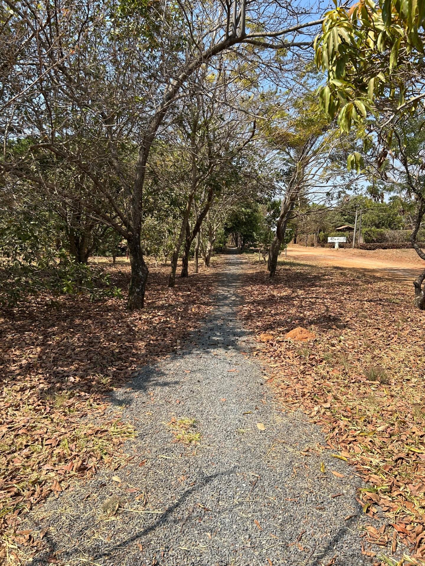 Cuidando da nossa Trilha de Caminhada - CooperPalmas Agroambiental 