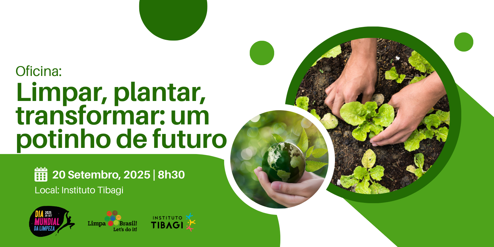 Limpar, plantar, transformar: um potinho de futuro