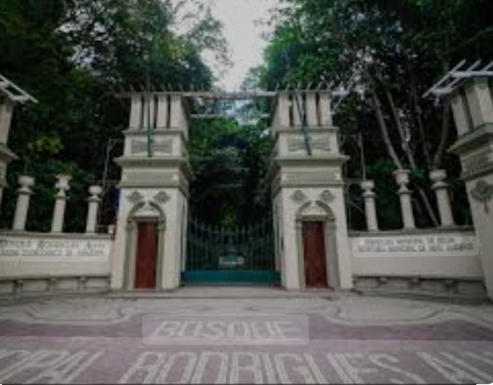 Mutirão de limpeza do Bosque Rodrigues Alves 