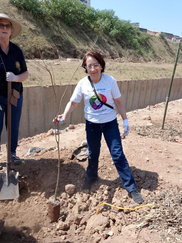 Cacilda Paranhos