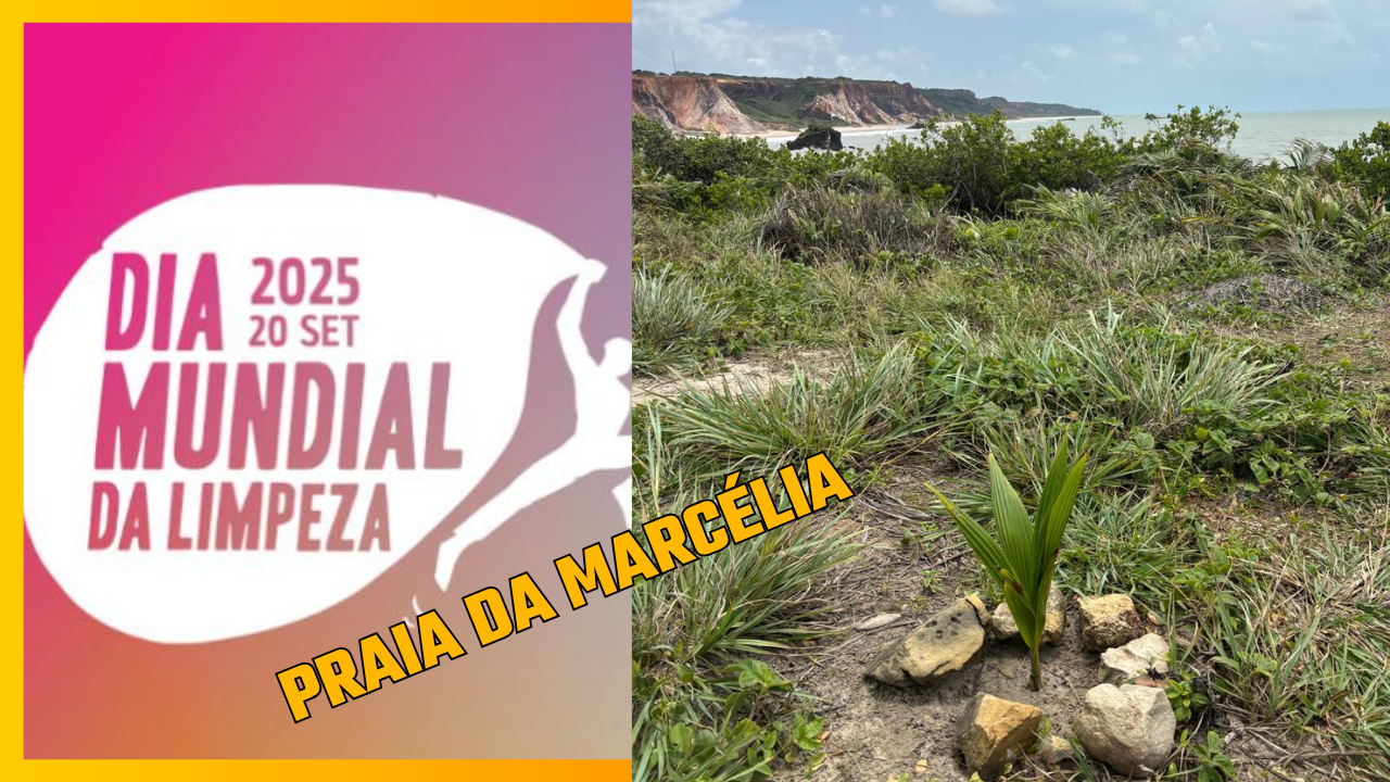 Limpeza da Praia da Marcélia e da Praia de Coqueirinho e da área naturista de Tambaba