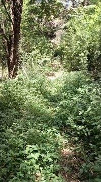 Mutirão de Harmonização da Praça cópia cópia