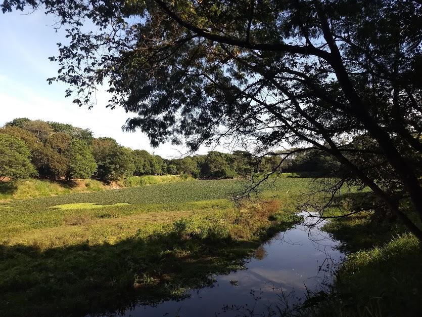 Mutirão de Limpeza do Parque Linear Ribeirão das Pedras