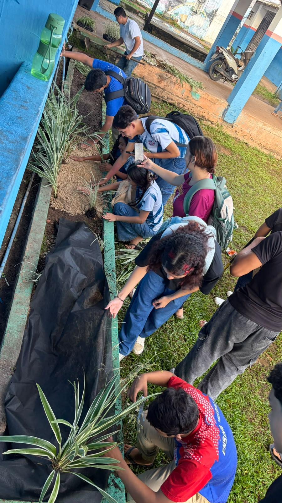Cultivando Saberes, Florescendo Vidas: ”Projeto Escola Verde”