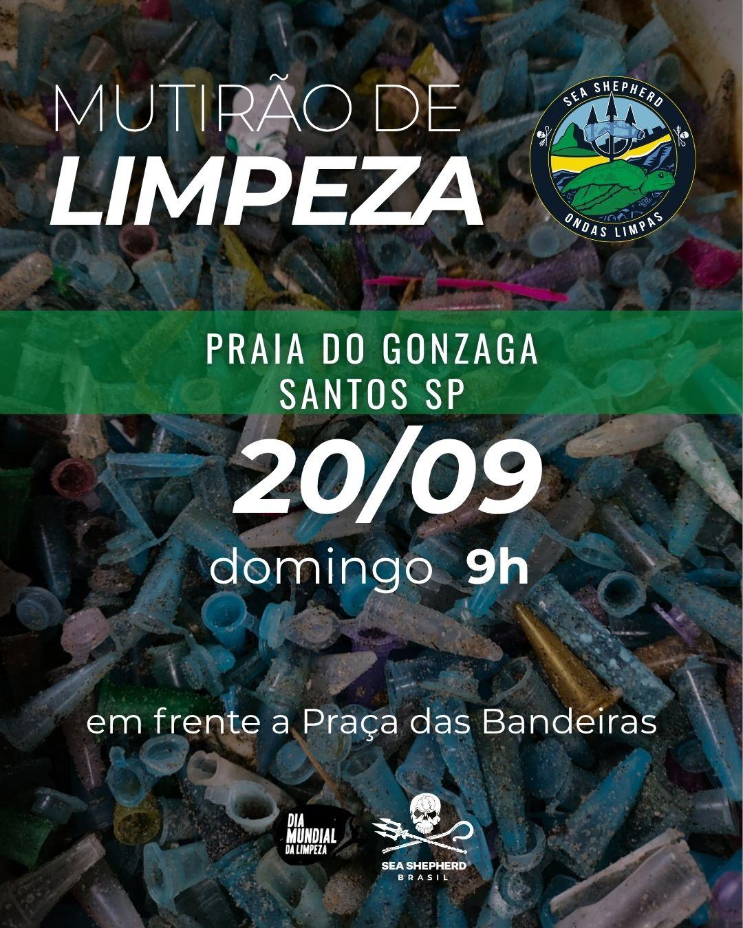[PRAIA] ONDAS LIMPAS GONZAGA – SANTOS SP